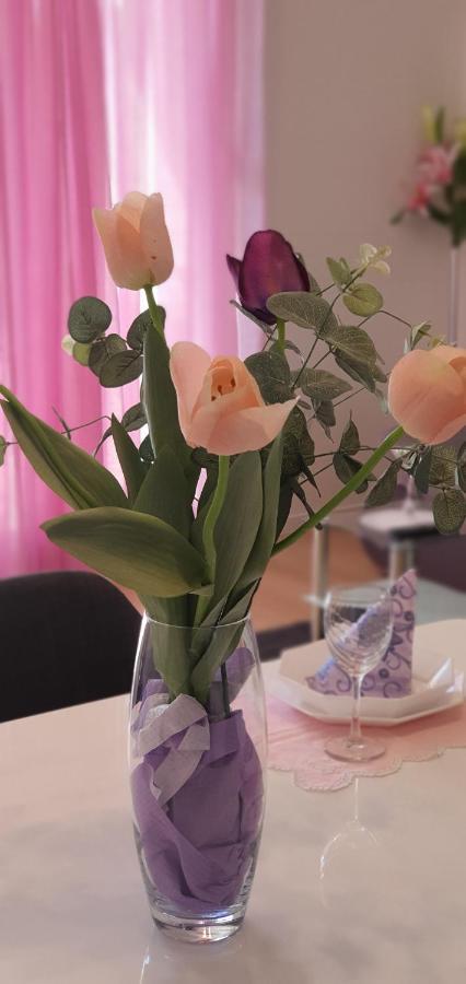 Apartman Galija 1 Zara Esterno foto